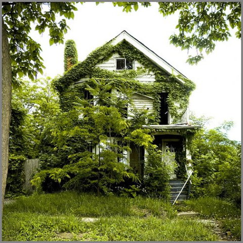 [return-to-nature-detroits-feral-houses-3[3].png]