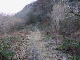 trackway_3