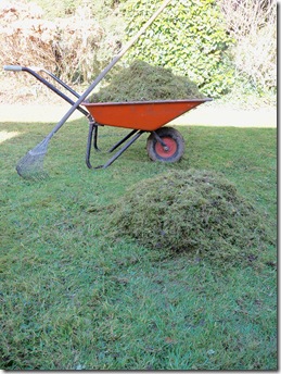 Moss raked out of a lawn.