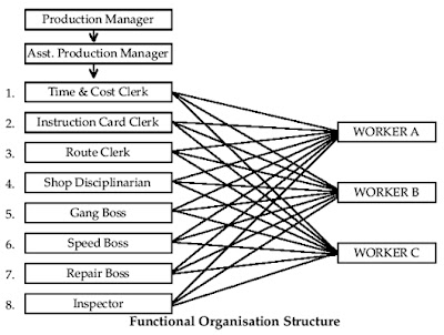 functional organisation structure