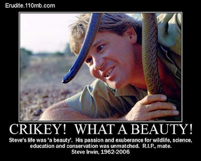 Steve Irwin