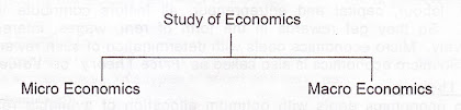 study of economics micro macro