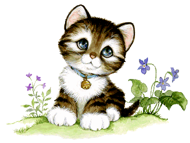 gatinho.gif