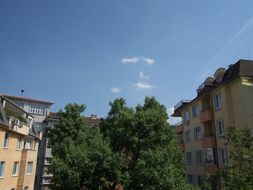 P1000003.jpg
