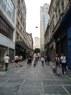 Cãonhecendo São Paulo (143)