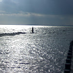 kent9.jpg