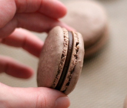 chocolate macarons 3