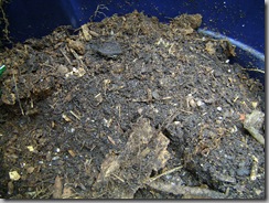 "finished" compost