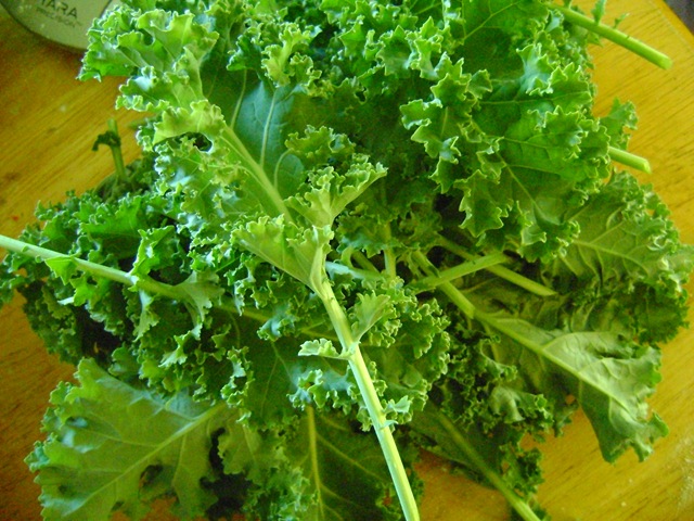 [kale 006[2].jpg]