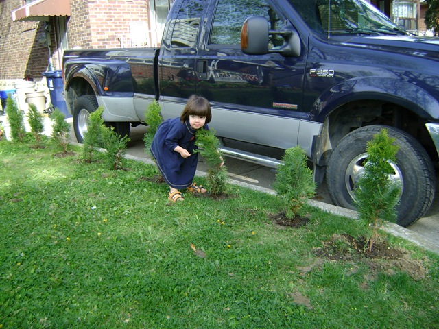[naomi and the baby trees[2].jpg]