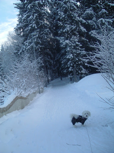 DSCF7277.JPG