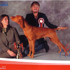 CELJE EUROPEAN DOG SHOW-SLOVENIA-2010-10-01g.jpg