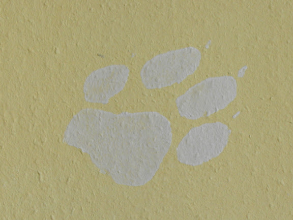 DSCF6500.JPG