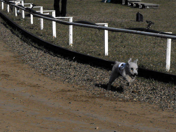 DSCF8789.JPG