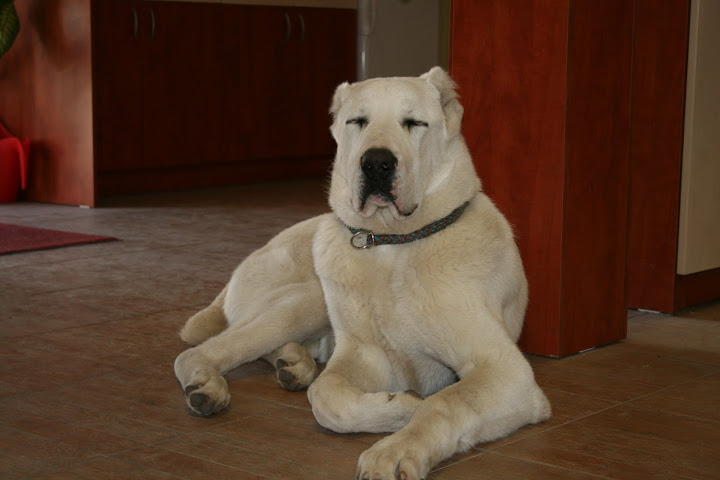 NAZIR%206%20month%20005.jpg
