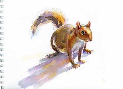 [squirrel sketch blog [3].jpg]
