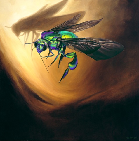 [Harley_the_Orchid_Bee2.jpg]