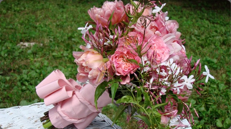 image fresh cut design by kim hirst