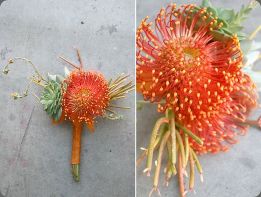 Bridesmaids bouquets succulents, pencil cactus and pin cushion proteas. arrangements designs