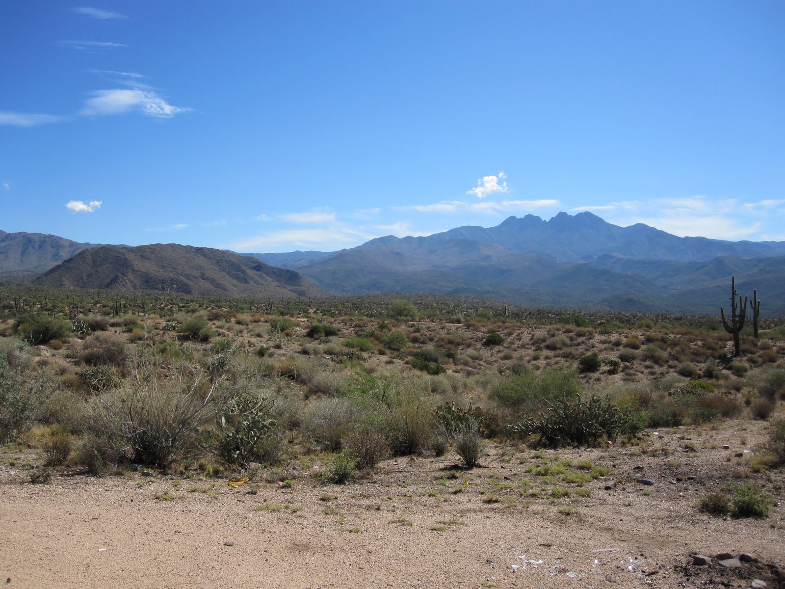 Adventures in Arizona Rabbit Hunting