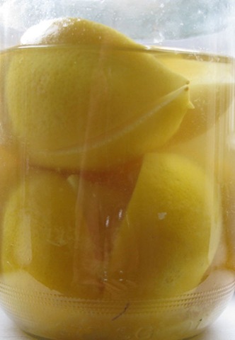 [lemon3.jpg]