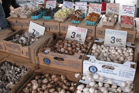 [mushrooms_market_web_small3.jpg]