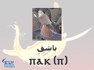 الطيور باللغــــــة القبطيــــ†ــــة بالصور