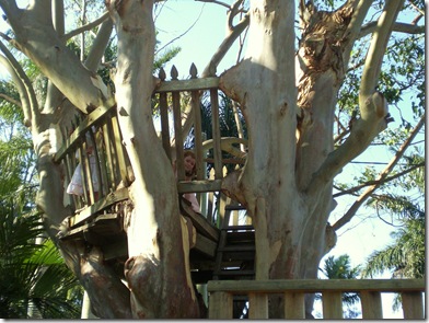 22 maca treehouse