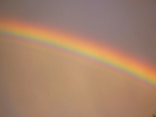 [15 rainbow[4].jpg]