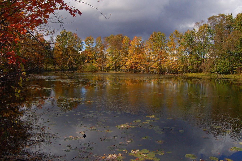 [DSC_0010[4].jpg]