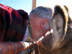 EAR TO EAR WITH MY DONKEY PAL, PONCHO