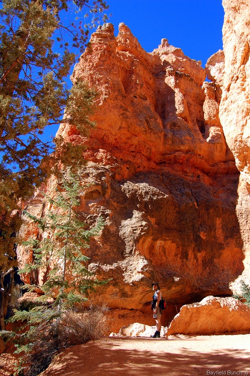 [DSC_0092[7].jpg]