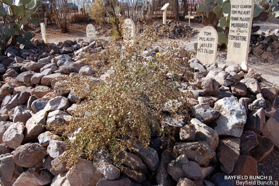 [DSC_0037-2_thumb22.jpg]