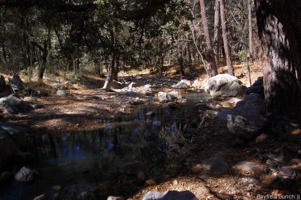 [DSC_2433[3].jpg]