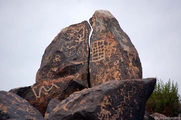 [DSC_0220 - Copy[4].jpg]