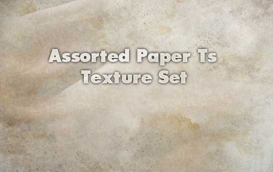 Paper-Ts-banner Paper-Ts-banner