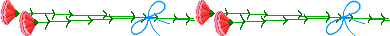 barrinha4.png