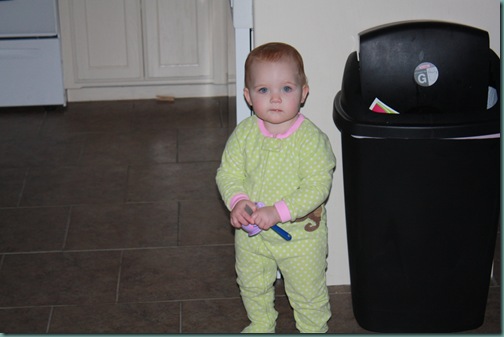 IMG_9806 IMG_9806