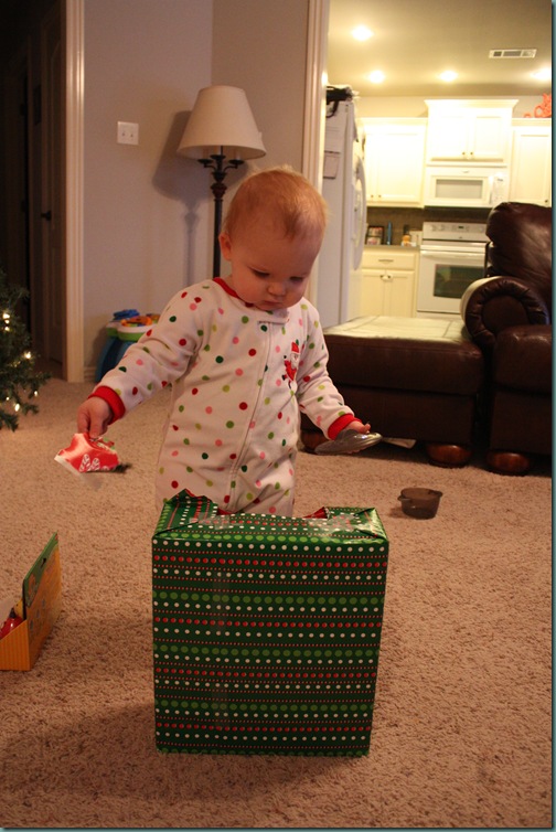 IMG_2096 IMG_2096