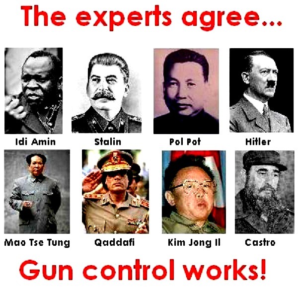 [Experts Agree - Gun Control Works[4].jpg]