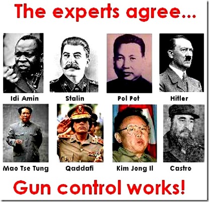 Experts Agree - Gun Control Works