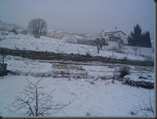 neve 021