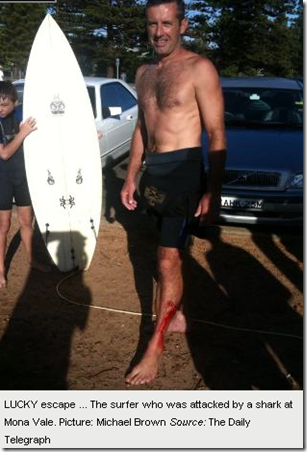 Copy of 11 2 2010 Man attacked by shark at Mona Vale