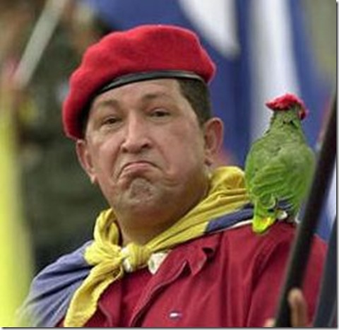hugo_chavez_parrot