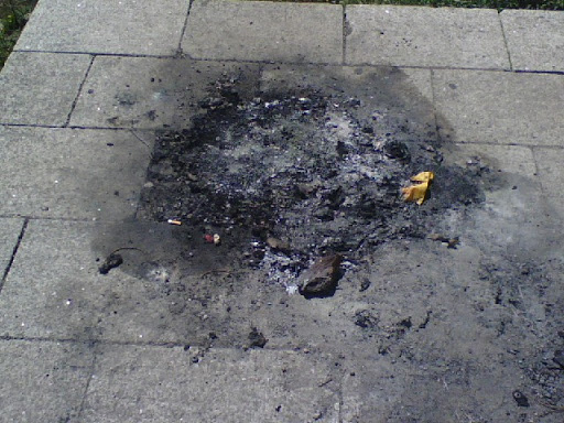 072707006.jpg