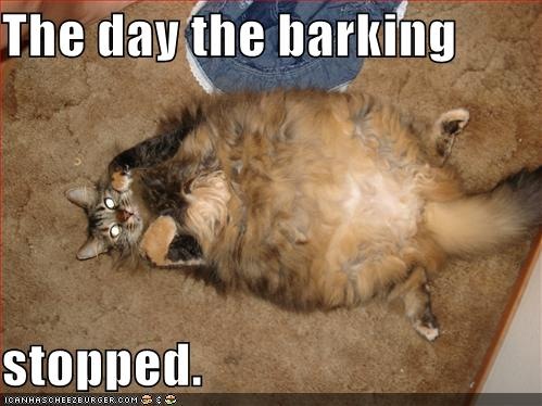 [funny-pictures-cat-ate-dog-barking-stopped[4].jpg]
