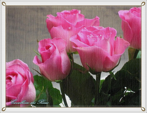 flowers-1.jpg