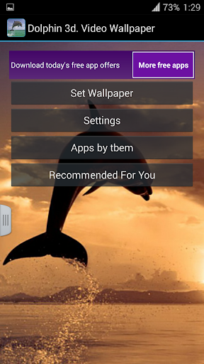 【免費個人化App】Dolphin 3d. Video Wallpaper-APP點子