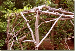 arbor closeup