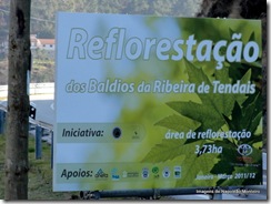 Cinfães vale Bestança local da Reflorestação fev2011 fotos de Napoleão Monteiro
